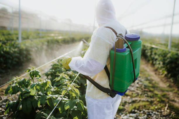 Best Commercial Pest Control Services  in Folsom, PA